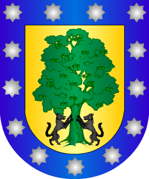 ESCUDO SIGUIENTE